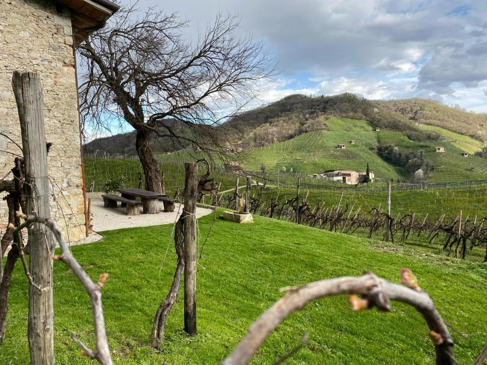 B&B Terre Di Bea Pederobba Exterior photo